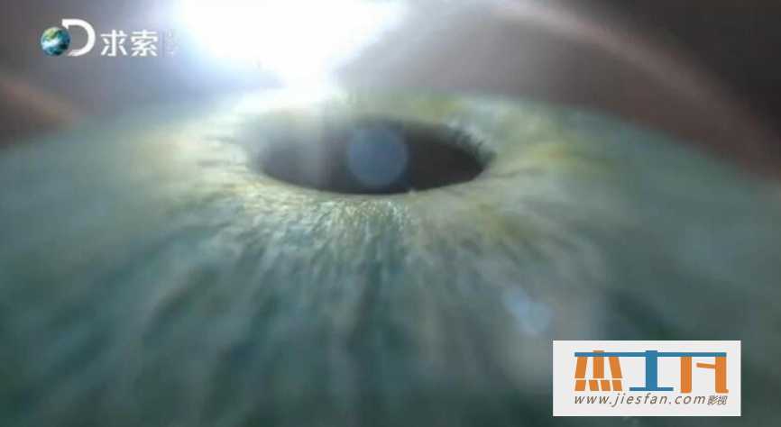 2002《记忆的证明》高清原盘 [29集全] 百度云网盘下载-推影坊