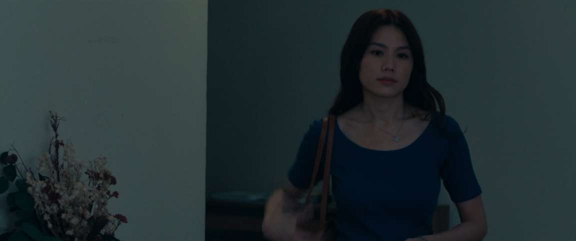 [网盘观看]私家侦探[国语配音/中文字幕].Behind.The.Shadows.2025.BluRay.1080p.TrueHD5.1.x265.10bit-DreamHD 6.33GB-推影坊