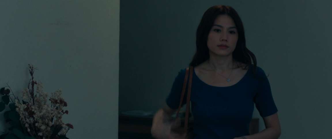 [网盘观看]私家侦探[国语配音/中文字幕].Behind.The.Shadows.2025.BluRay.1080p.TrueHD5.1.x264-DreamHD 12.22GB-推影坊