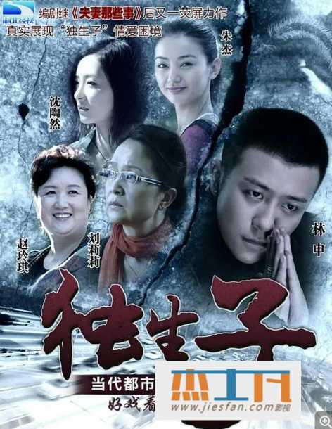 2013年《独生子》[32集全][林雨申/朱杰/刘莉莉/李光复] 百度网盘下载-推影坊