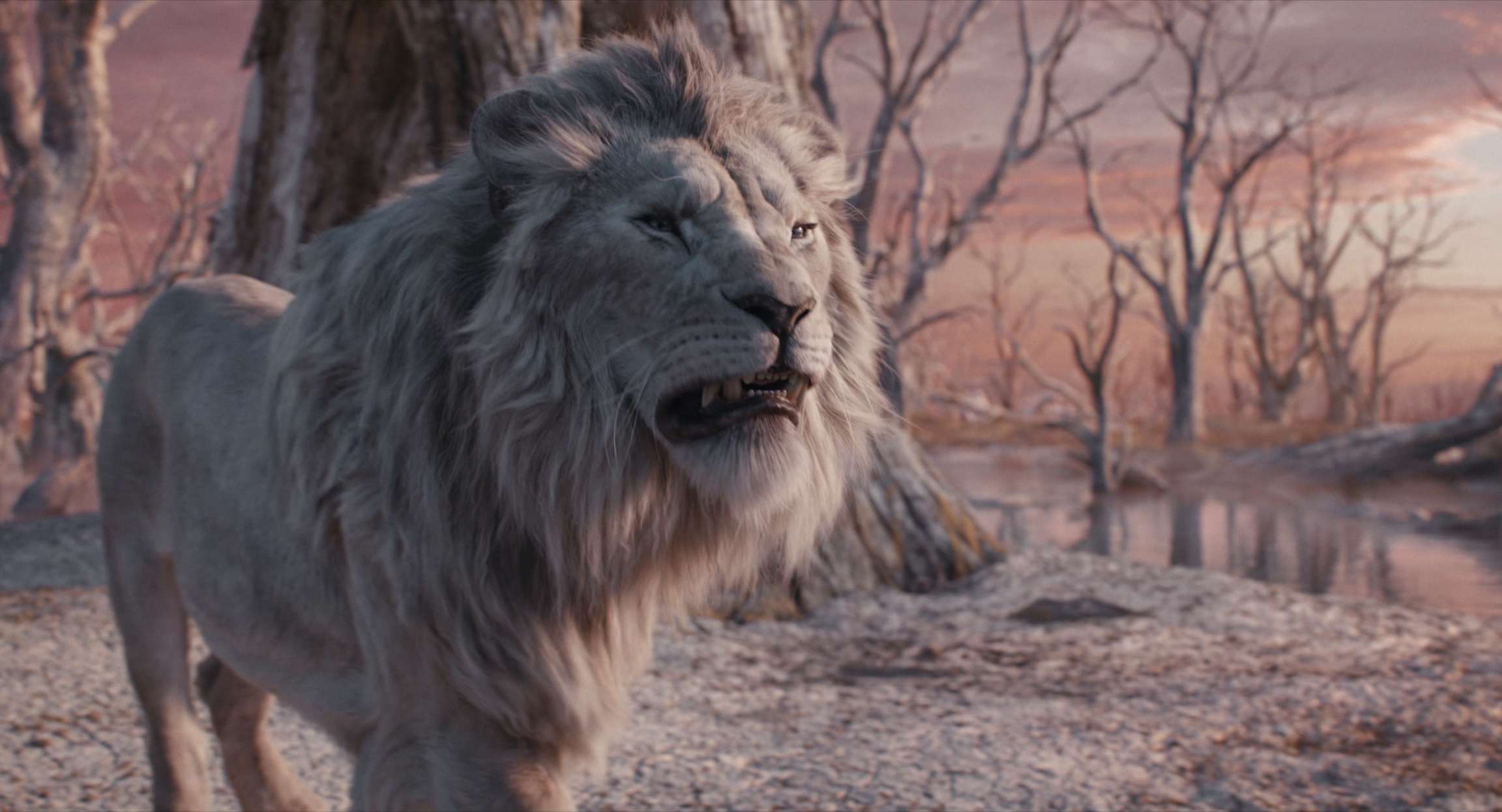 电影截图
