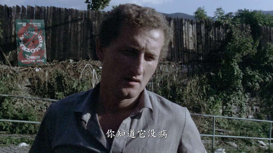 电影截图