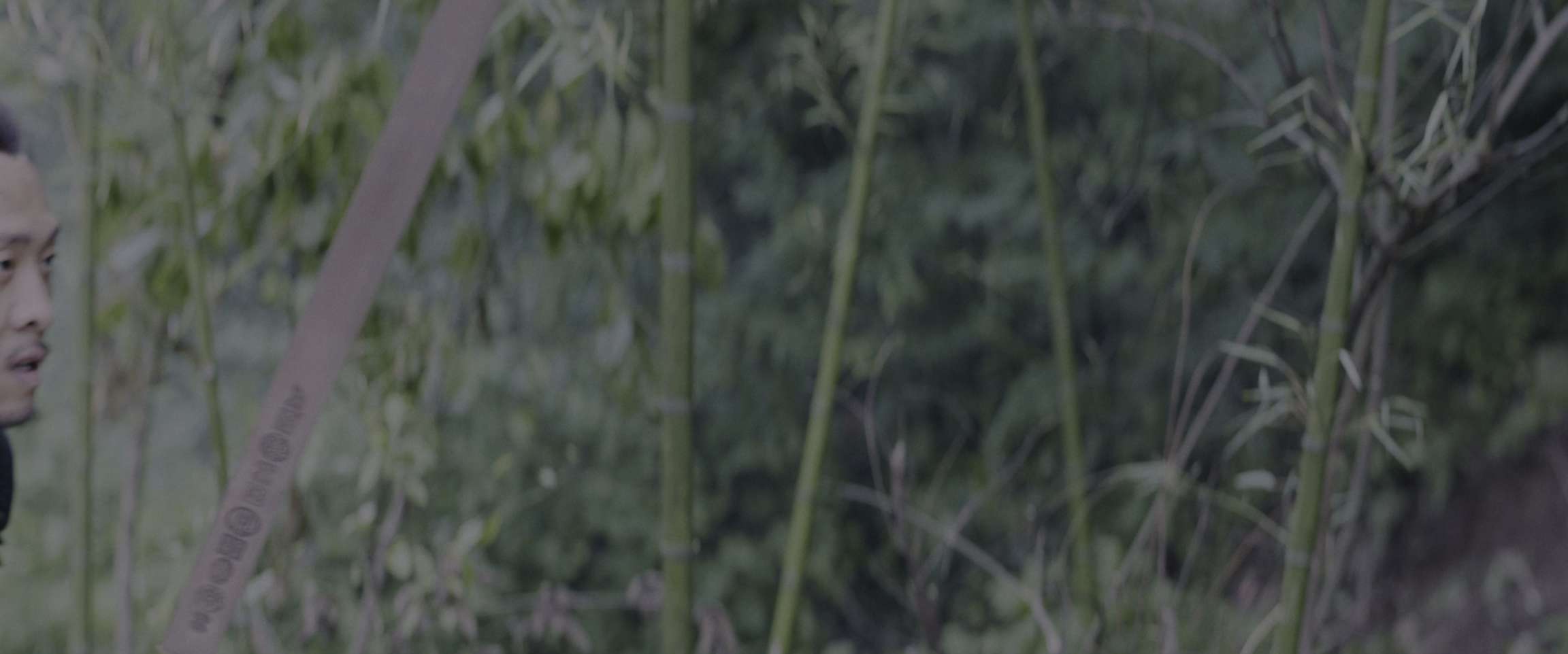 电影截图