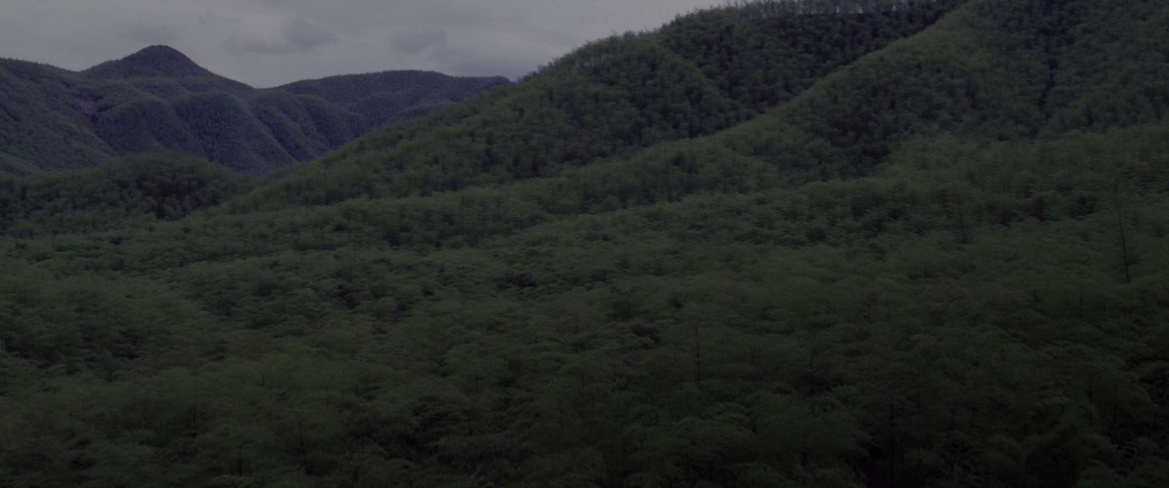 电影截图