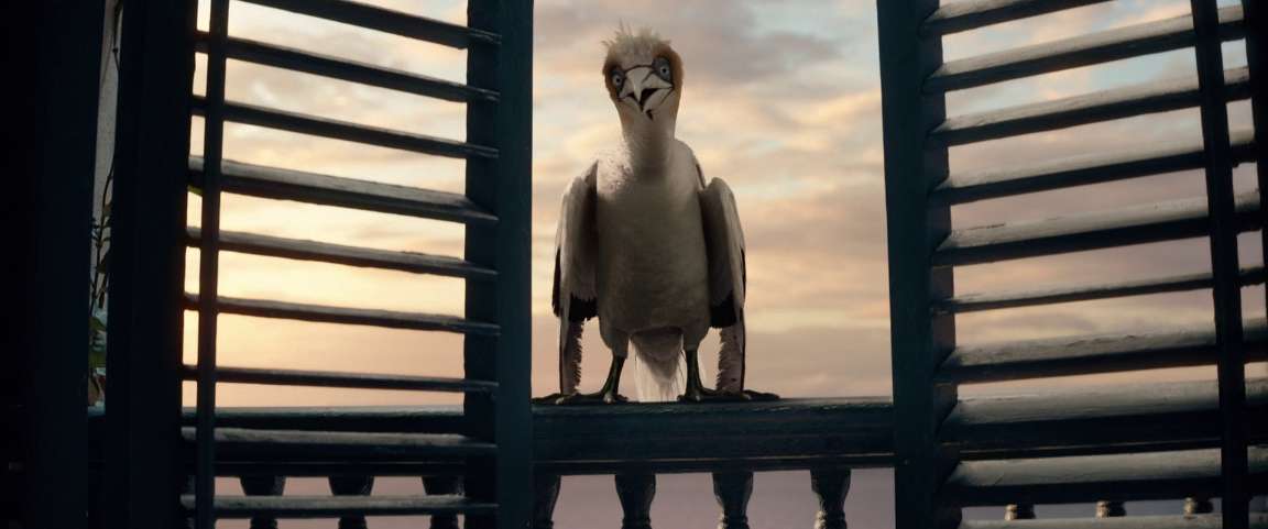 电影截图
