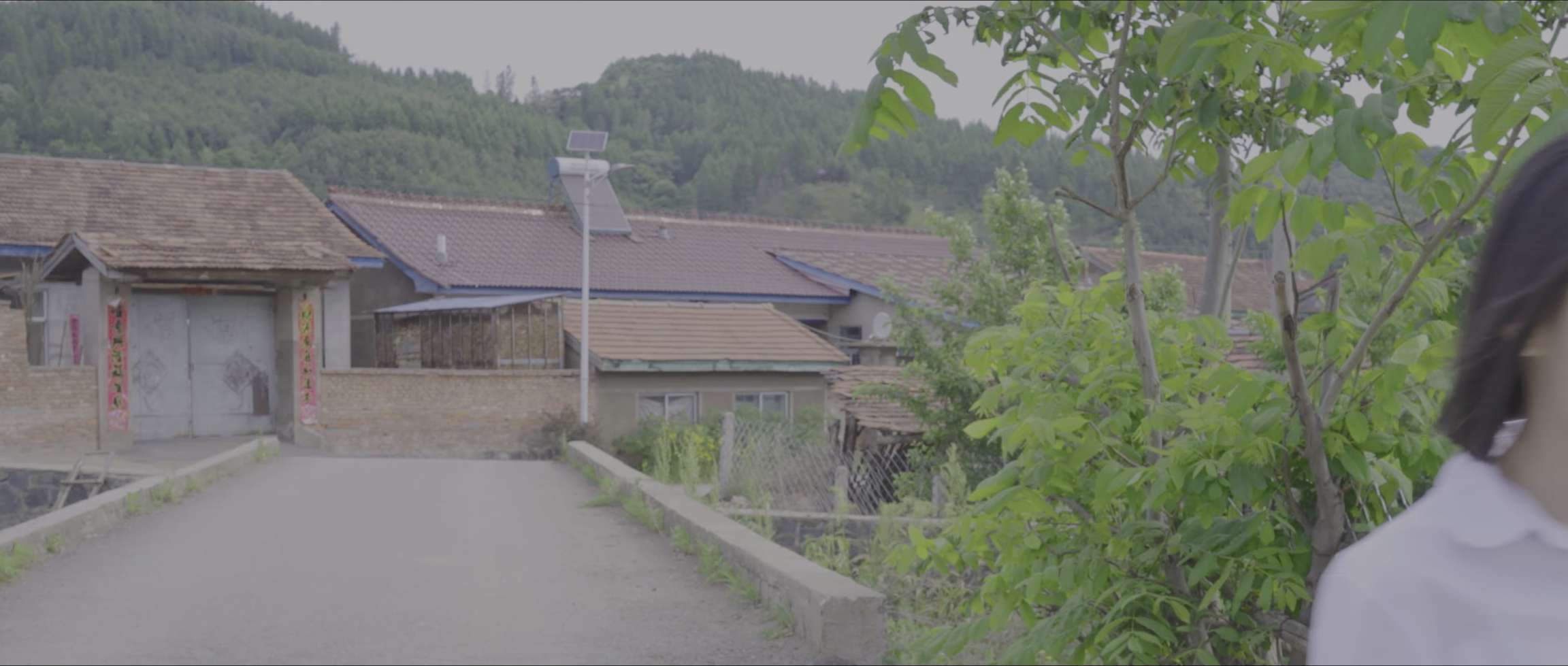 电影截图