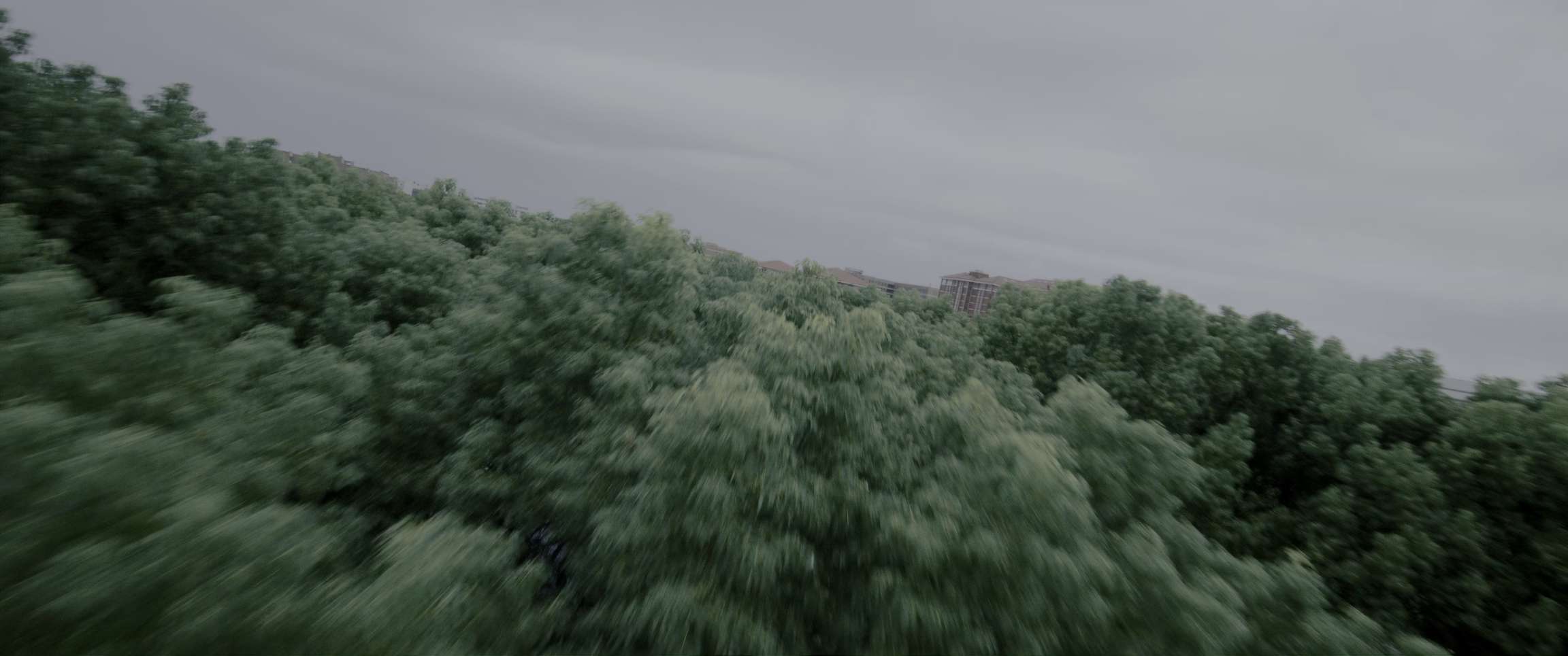 电影截图