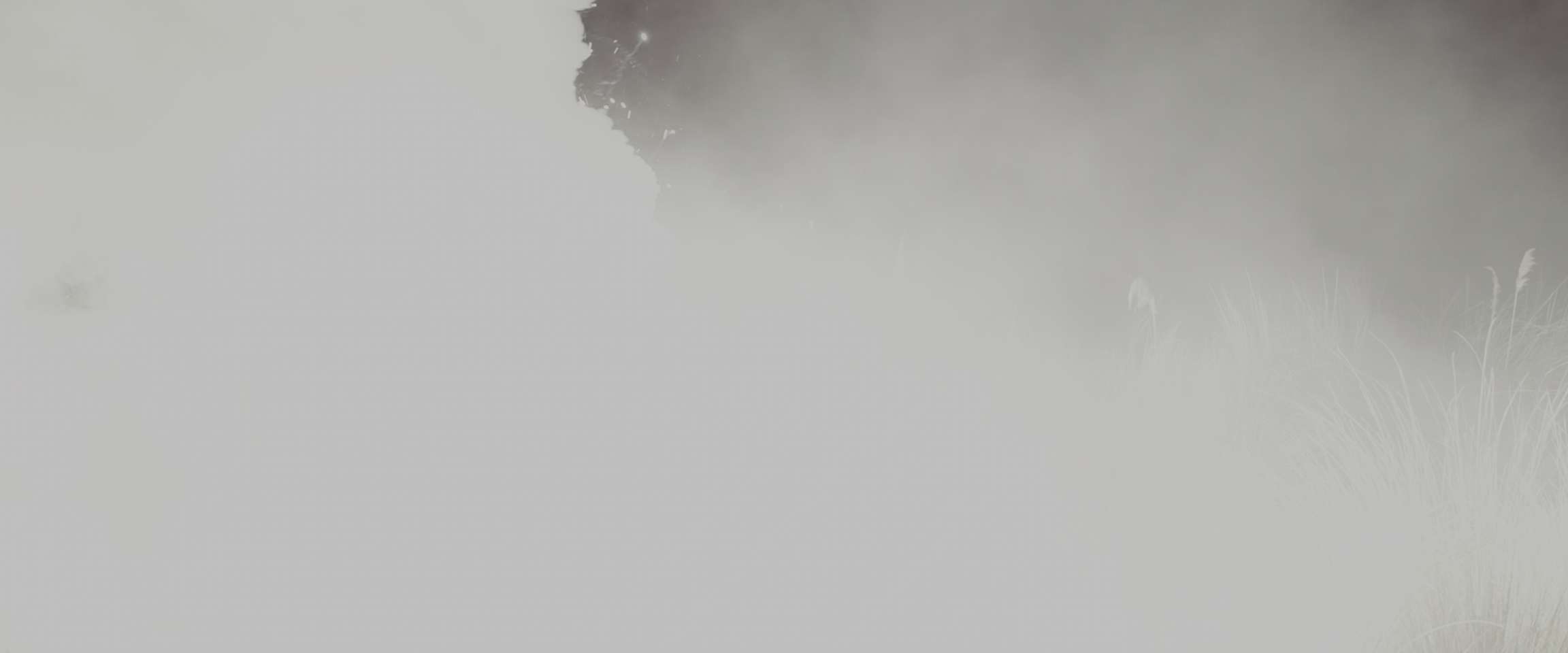 电影截图