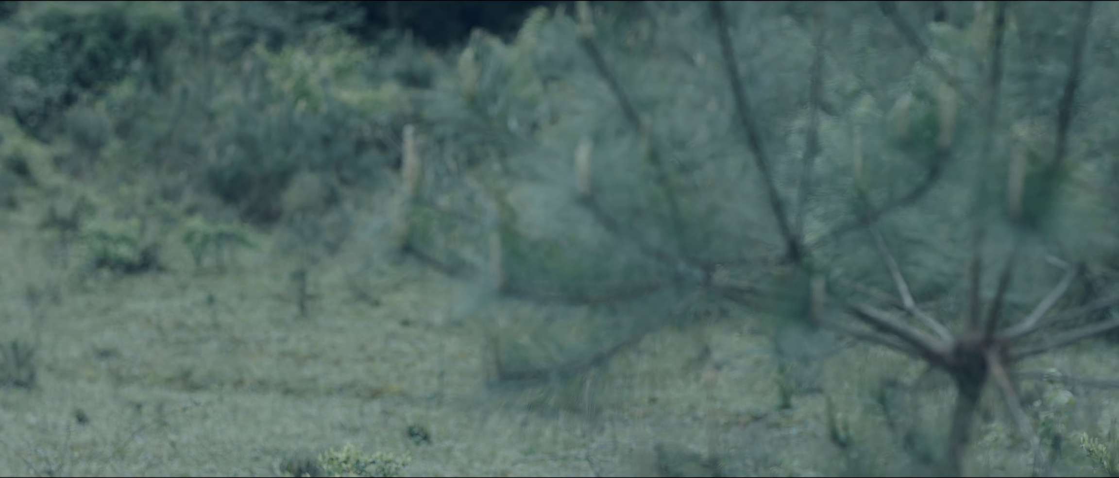 电影截图