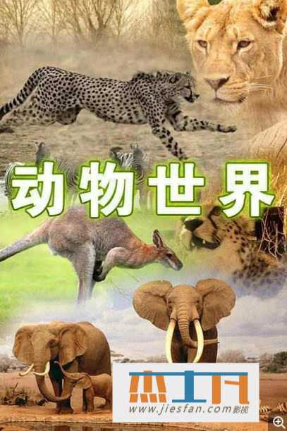 电影封面