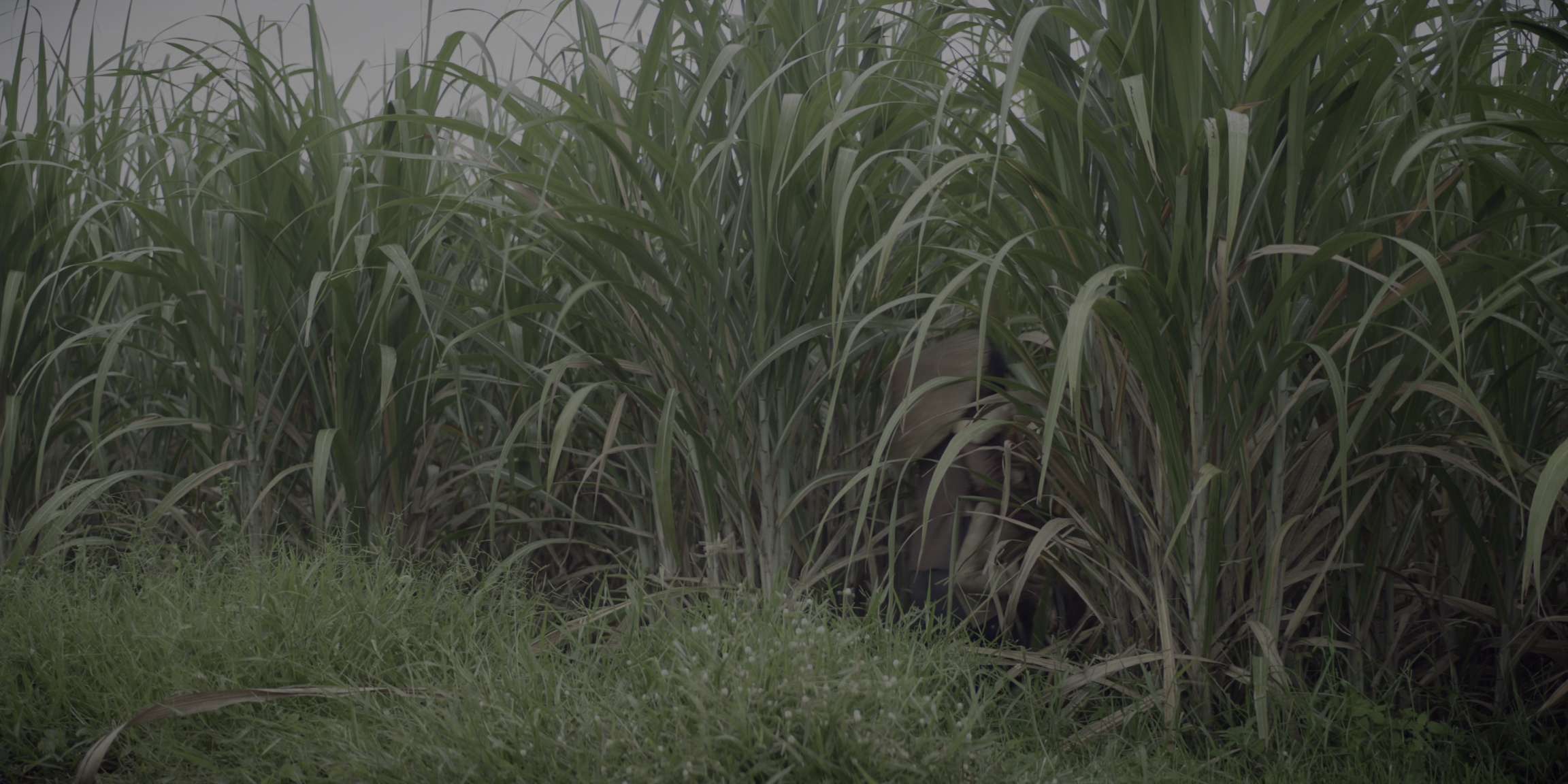 电影截图