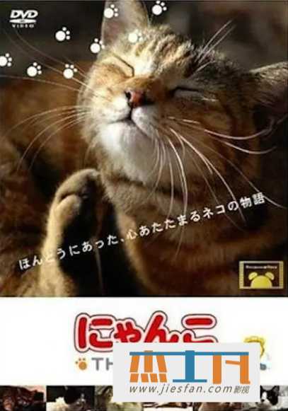 电影封面