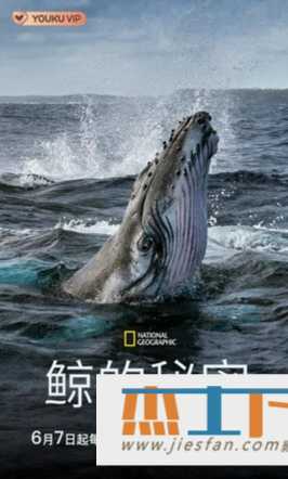 电影封面